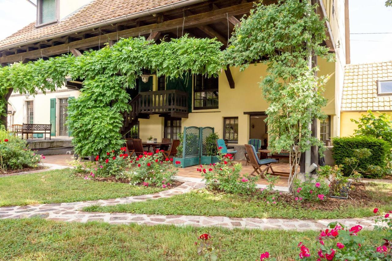 Rose - Piscine Partagee - Proche Europa Park Apartamento Hessenheim Exterior foto
